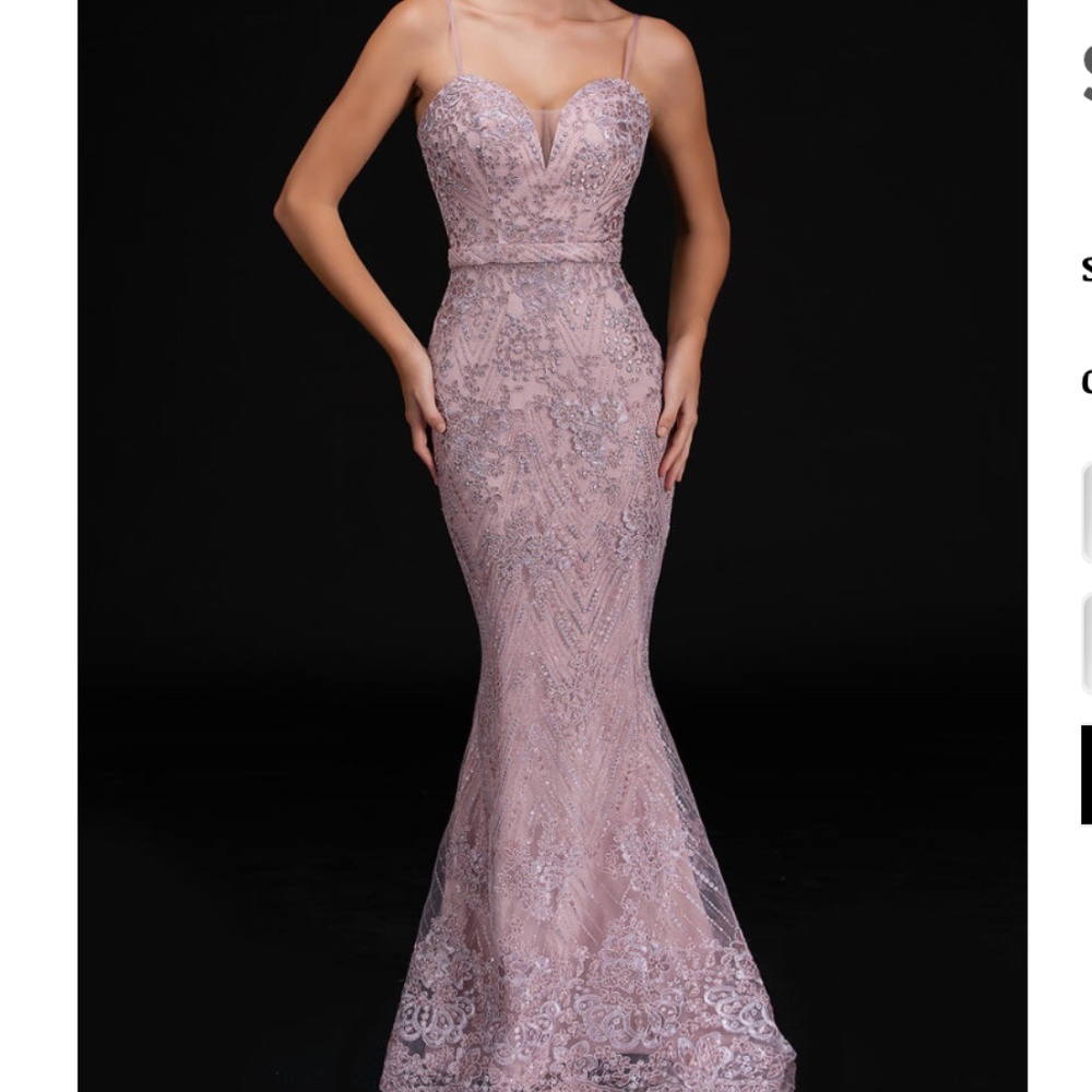 NINA CANACCI 6532 Blush Dress